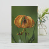 Tiger Lily - Carte de voeux plate (Debout devant)