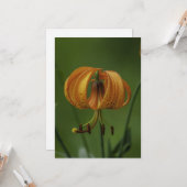 Tiger Lily - Carte de voeux plate (Devant/Arrière en situation)