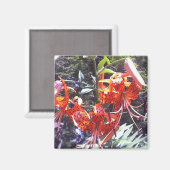 Tiger Lily Collectie Magneet (Voorkant / Achterkant)