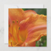 Tiger Lily Invitation Kaart (Achterkant)