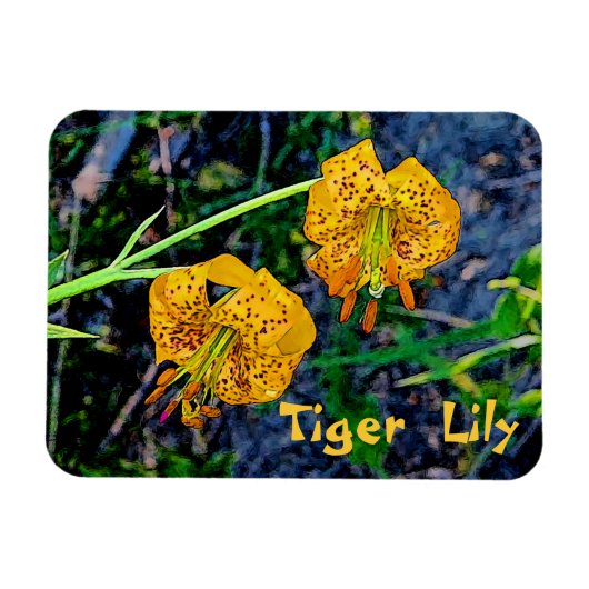 Tiger Lily Magneet (Horizontaal)