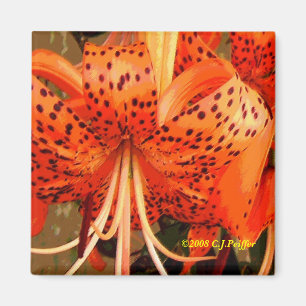 "Tiger Lily" Magneet