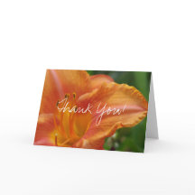 Tiger Lily Merci Blanc