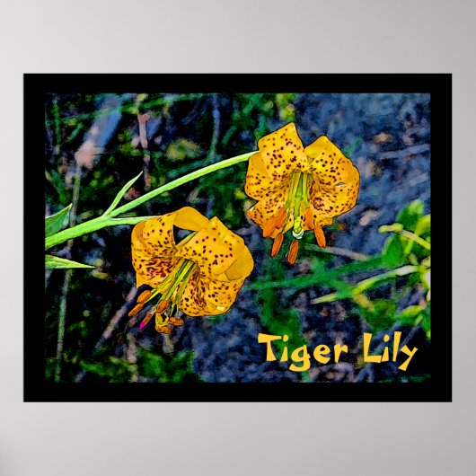 Tiger Lily Poster (Voorkant)