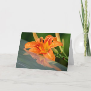 Tiger Lily Reflection Kaart