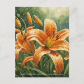 Tiger Lily Symbolism Briefkaart (Voorkant)