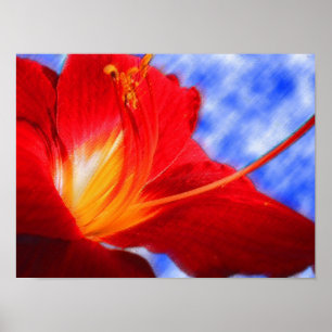 Tiger Lily "tekening" Poster