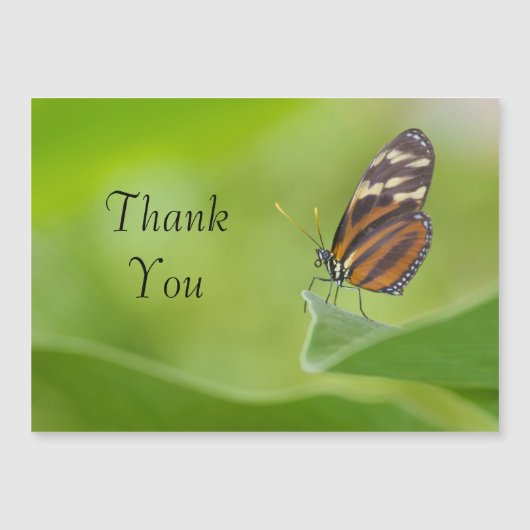 Tiger Longwing Butterfly Hartelijk dank (Voorkant)