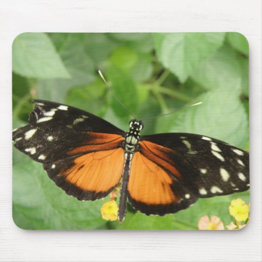 Tiger Longwing Butterfly Mousepad Muismat (Voorkant)