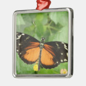 Tiger Longwing Butterfly Ornament (Links)