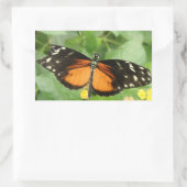 Tiger Longwing Butterfly Stickers (Tas)