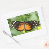 Tiger Longwing Butterfly Stickers (Envelop)
