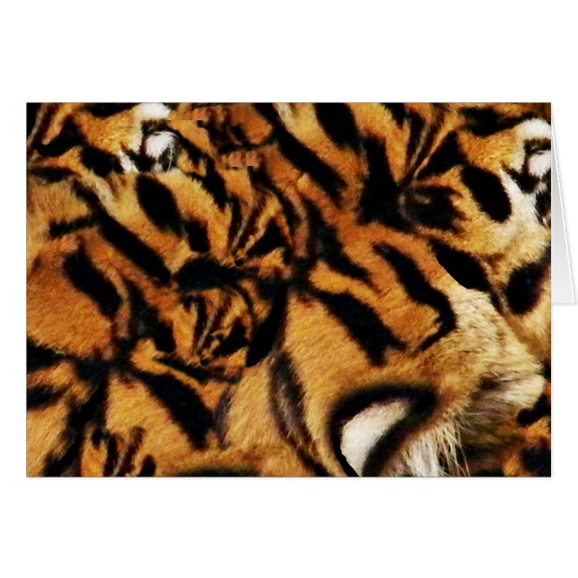 Tiger Love_ (Voorkant Horizontaal)