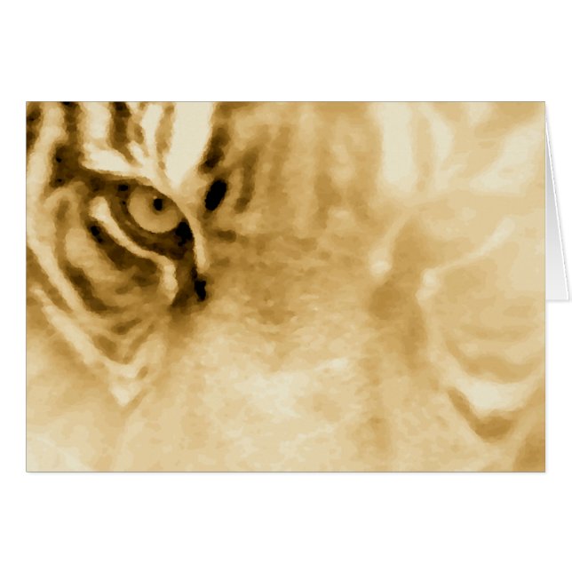 ,Tiger Love_ (Voorkant Horizontaal)