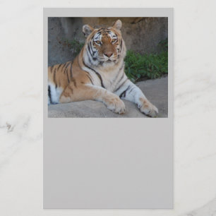 Tiger Love Briefpapier