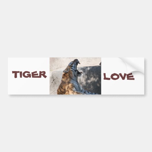 Tiger Love Bumpersticker (Voorkant)