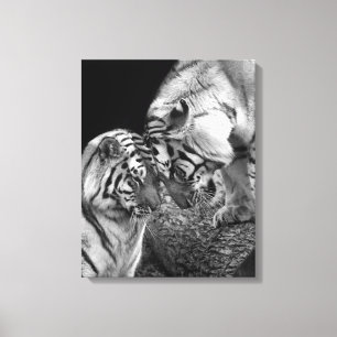 Tiger Love Foto op Canvas Wrap Afdruk