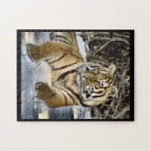 Tiger Love Legpuzzel (Horizontaal)
