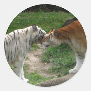 Tiger Love Ronde Sticker