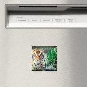Tiger Magnet Magneet (Insitu (Vaatwasser))