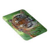 Tiger Magnet Magneet (Rechterzijde)