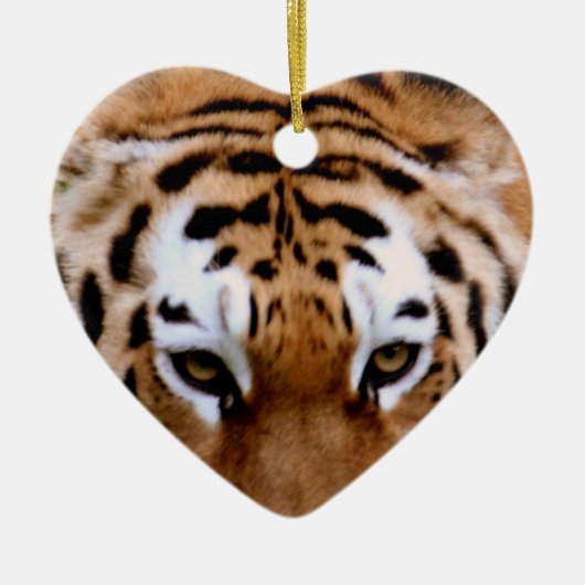 Tiger Markings Ornament (Voorkant)