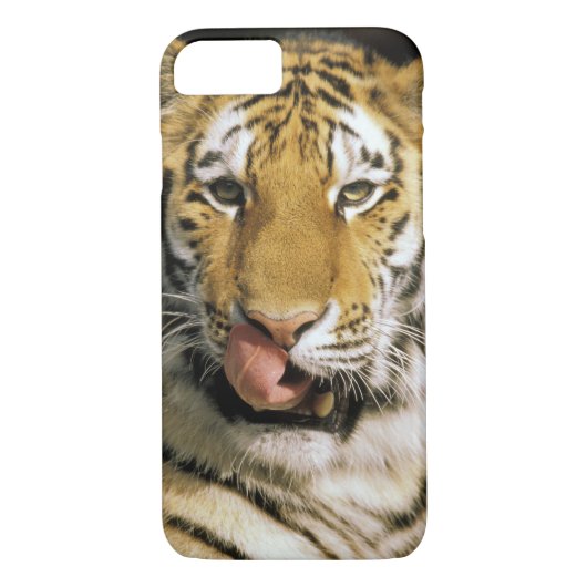Tiger Michigan Zoo Case-Mate iPhone Case (Achterkant)