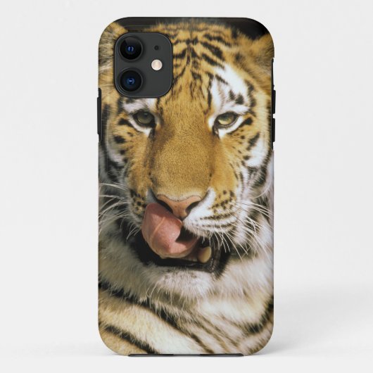 Tiger Michigan Zoo Case-Mate iPhone Case (Achterkant)