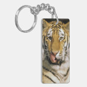 Tiger Michigan Zoo Sleutelhanger (Voorkant Links)
