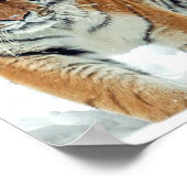 Tiger Montagnes de Neige hiver Nature Poster (Coin)