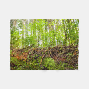 Tiger Mountain Issaquah, staat Washington Fleece Deken
