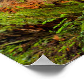 Tiger Mountain | Issaquah, staat Washington Poster (Hoek)