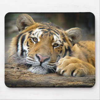 Tiger Mousepad Muismat