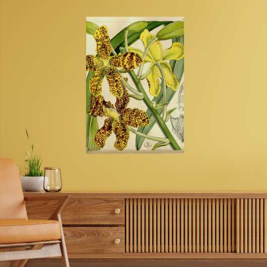 Tiger Orchid Unique Poster Decor (Woonkamer 2)
