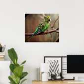 Tiger Parakeet Poster (Thuiskantoor)