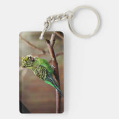 Tiger Parakeet Sleutelhanger (achterkant)