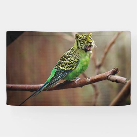 Tiger Parakeet Spandoek (Horizontaal)