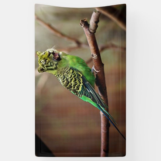 Tiger Parakeet Spandoek (Verticaal)