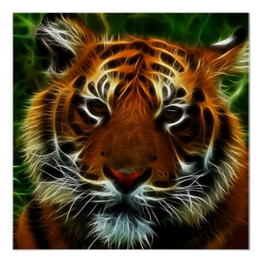 TIGER PERFECT POSTER (Voorkant)