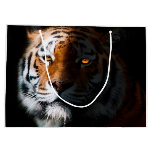 Tiger Portrait Groot Cadeauzakje