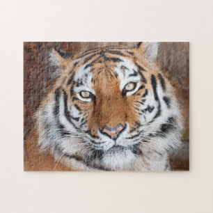 Tiger Portrait Legpuzzel