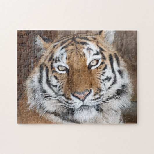 Tiger Portrait Legpuzzel (Horizontaal)