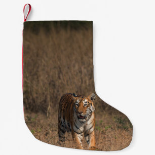 TIGER PORTRAT KLEINE KERSTSOK