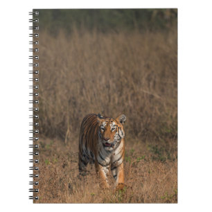 TIGER PORTRAT NOTITIEBOEK