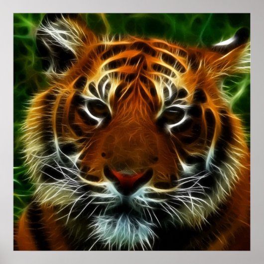 TIGER POSTER (Voorkant)