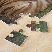 Tiger puzzle (Côté)