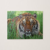 Tiger Puzzle (Horizontal)