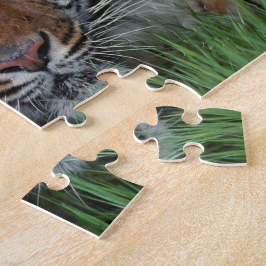 Tiger Puzzle (Côté)