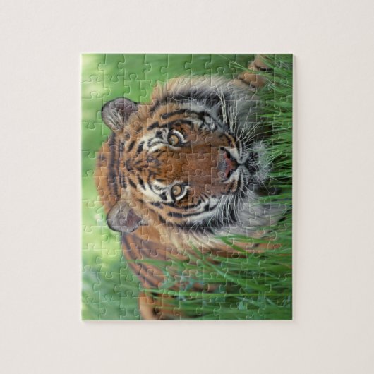 Tiger Puzzle (Vertical)