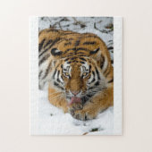 Tiger Puzzle (Vertical)